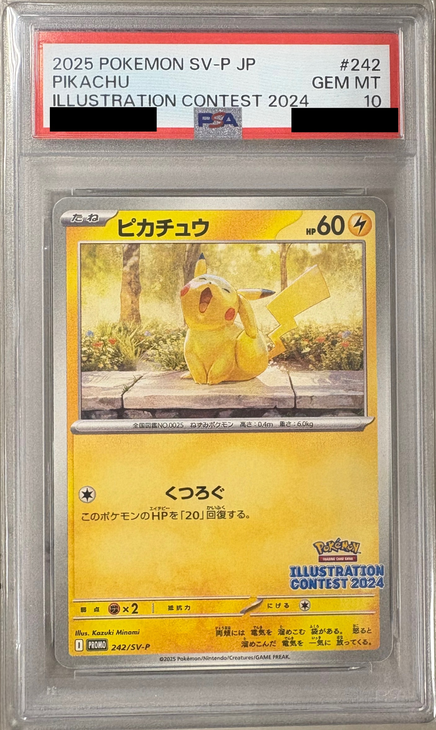 【PSA10】ピカチュウ  242/SV-P 【状態S】（ポケモンカードゲーム）