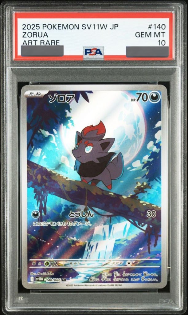 【PSA10】ゾロア【AR】 sv11W 140/086 ｛状態：S｝ （ポケモンカードゲーム）