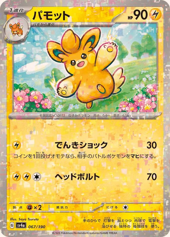 パモット（ミラー仕様）SV4a 067/190 （Pokemon CARD GAME）