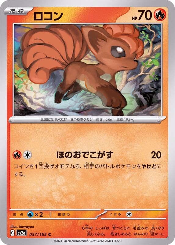 ロコン 【C】 SV2a 037/165 （Pokemon CARD GAME）