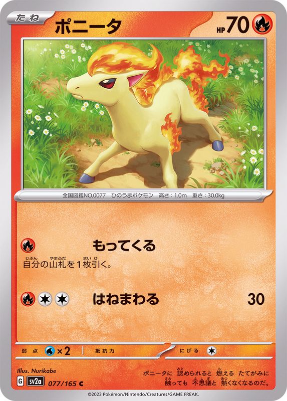 ポニータ 【C】 SV2a 077/165 （Pokemon CARD GAME）