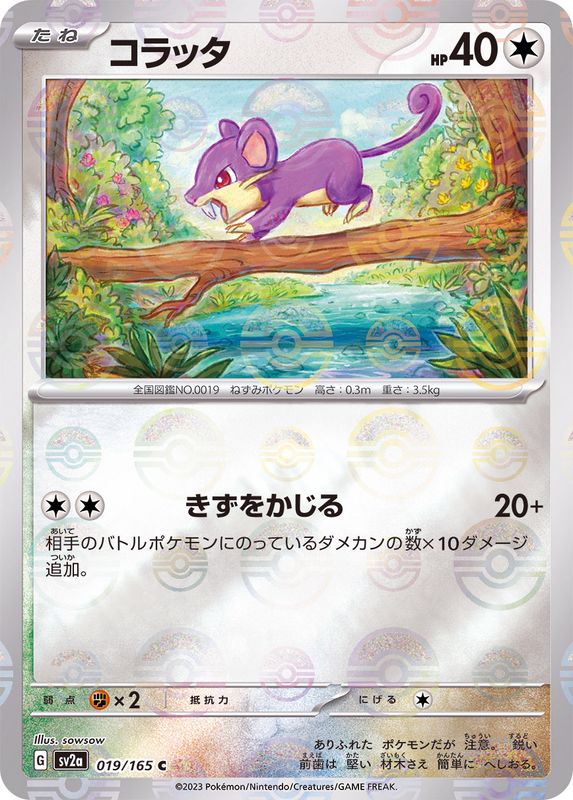 コラッタ（モンスターボールミラー） 【C】 SV2a 019/165 （Pokemon CARD GAME）